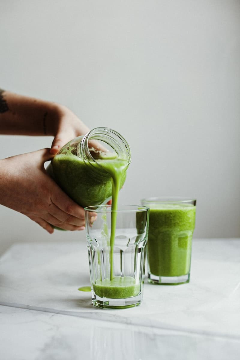 Sticks spiruline en voyage